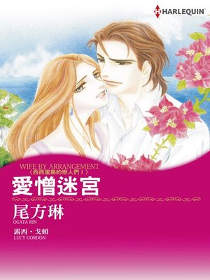 cover image of 愛憎迷宮